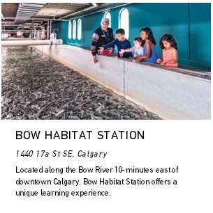 Bow Habitat Station